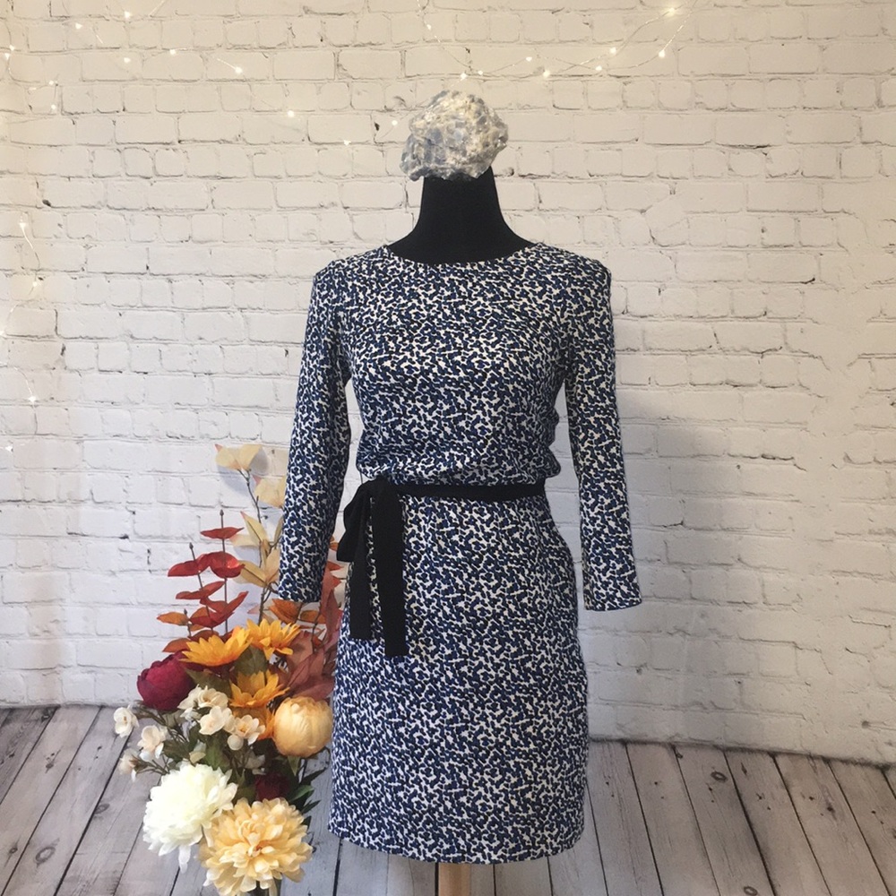 H&M Dot Pattern, Long Sleeve, Pocket Dress